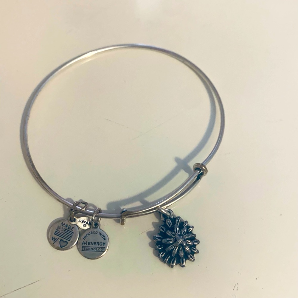 Alex and Ani Bracelet